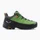 Pánske trekové topánky Salewa Alp Trainer 2 GTX green 00-0000061400 2