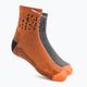 Pánske trekingové ponožky Salewa MTN TRN Sal. AM QRT šedohnedá 00-0000069028