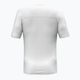Pánske tričko Salewa Puez Sporty Dry biela 2
