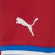 Pánsky futbalový dres PUMA Facr Home Jersey Replica red 765865 01 5