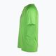 FILA pánske tričko Riverhead jasmínovo zelené 7