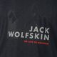 Pánske tričko Jack Wolfskin Hiking Graphic sivé 1808761_6230 6