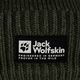 Jack Wolfskin Playn Logo Beanie zimná čiapka island moss 4