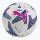 PUMA Orbit Serie A FIFA Quality Pro Football 083999 01 veľkosť 5 4