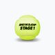 Detské tenisové loptičky Dunlop Stage 1 3 ks zelené 61338 3