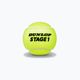 Detské tenisové loptičky Dunlop Stage 1 6 ks zelené 61342 2