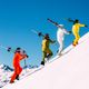 Pánske lyžiarske nohavice Descente Bill grey/green 11