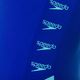 Speedo Boom Logo Splice Muscleback dámske jednodielne plavky G008 modré 12900G008 3