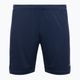Pánske tréningové šortky Mizuno Premium Handball navy blue X2FB9A0214