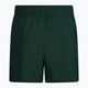 Pánske plavecké šortky Nike Essential 5" Volley green NESSA560-303 2