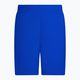 Pánske plavecké šortky Nike Essential 5" Volley modré NESSA560-494 2