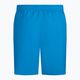 Pánske plavecké šortky Nike Essential 5" Volley modré NESSA560-406 2