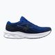 Pánska bežecká obuv Mizuno Wave Skyrise 5 surf the web/ white/ india ink 9