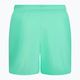 Pánske plavecké šortky Nike Essential 5" Volley green NESSA560-315 2