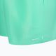 Pánske plavecké šortky Nike Essential 5" Volley green NESSA560-315 3
