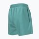 Detské plavecké šortky Nike Essential 4" Volley green NESSB866-339 6