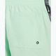 Pánske plavecké šortky Nike Logo Tape 5" Volley vapor green 6