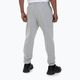 Pánske nohavice Pitbull West Coast Track Pants Athletic grey/melange 3