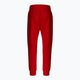 Pánske nohavice Pitbull West Coast Pants Alcorn red 8