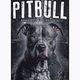 Pánska mikina Pitbull West Coast Hooded Street King black 5