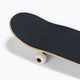 Globe Goodstock classic skateboard beige 10525351 7