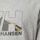 Pánske trekingové tričko Helly Hansen Nord Graphic 950 svetlo šedé 62978 4