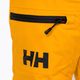 Detské lyžiarske nohavice Helly Hansen Elements yellow 41765_328 3