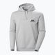 Pánska mikina Helly Hansen Nord Graphic Pull Over Hoodie grey melange 2