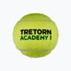 Tretorn ST1 tenisové loptičky 36 ks žlté 3T519 474442 2