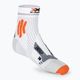 Pánske bežecké ponožky X-Socks Marathon Energy 4.0 arctic white/trick orange 2