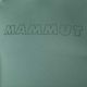 Pánske trekingové tričko Mammut Selun FL Logo green 1016-01440-40236-115 6