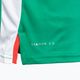Pánske tenisové tričko Diadora SS TS zelené DD-12.179124-7134 4