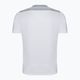 Joma Championship VI pánske futbalové tričko biele/šedé 101822.211 7