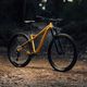 Horský bicykel Orbea Laufey H30 2023 gold N24917LX 7