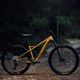 Horský bicykel Orbea Laufey H30 2023 gold N24917LX 8
