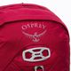 Pánsky turistický batoh Osprey Talon 22 l red 10002710 3