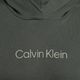 Pánska mikina Calvin Klein Hoodie LLZ urban classic 7