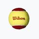 Wilson Starter Red Tballs detské tenisové loptičky 12 ks žlto-červené WRT137100 2