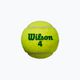 Detské tenisové loptičky Wilson Starter Play Green 4 ks žlté WRT137400 3