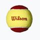 Wilson Starter Red Tball detské tenisové loptičky 3 ks žlto-červené 2000031175 2