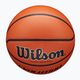 Basketbalová lopta Wilson Evolution  hnedá veľkosť 6 4