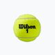 Wilson Roland Garros Clay Ct tenisové loptičky 3 ks žlté WRT125000 3