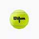 Wilson Roland Garros Clay Ct tenisové loptičky 4 ks žlté WRT115000 3