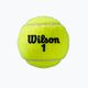 Wilson Roland Garros All Ct 4 Ball tenisové loptičky 2Pk 8 ks žlté WRT116402 4
