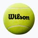 Wilson Roland Garros Mini Jumbo 5" žltá tenisová loptička s autogramom