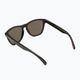 Slnečné okuliare Oakley Frogskins black/grey 0OO9013 2