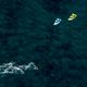 DUOTONE Evo SLS 2022 zelený 44220-3013 kitesurfing kite 6