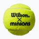 Wilson Minions Tennis detské tenisové loptičky 3 ks žlté WR8202401 4