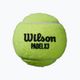 Wilson Padel Speed Balls 3 ks žlté WR8901101001 2