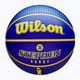 Wilson NBA Player Icon Outdoor Curry basketbal WZ4006101XB7 veľkosť 7